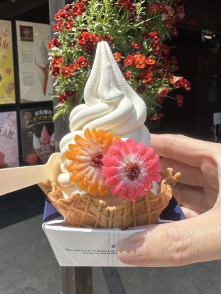 [Roses Cafe].