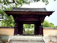 เที่ยวฟุกุโอกะ คิวซู ญี่ปุ่น Spring at Kyushu 2026