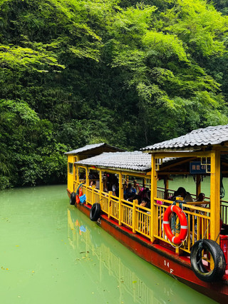  Wulingyuan (阿凡達山) – 取材自電影《阿凡達》的漂浮山原型之地 