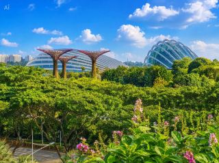 Gardens by the Bay