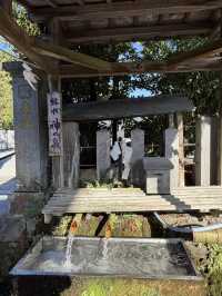【熊本】｢日本三大楼門｣のひとつ｢阿蘇神社｣