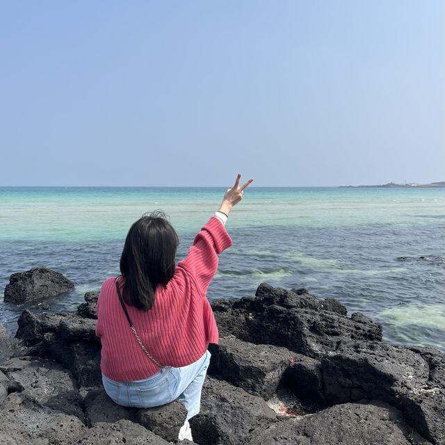 제주 세화해변🌊✨
