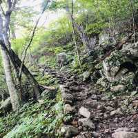 Hiking at Mary Rock Trial - Virginia 