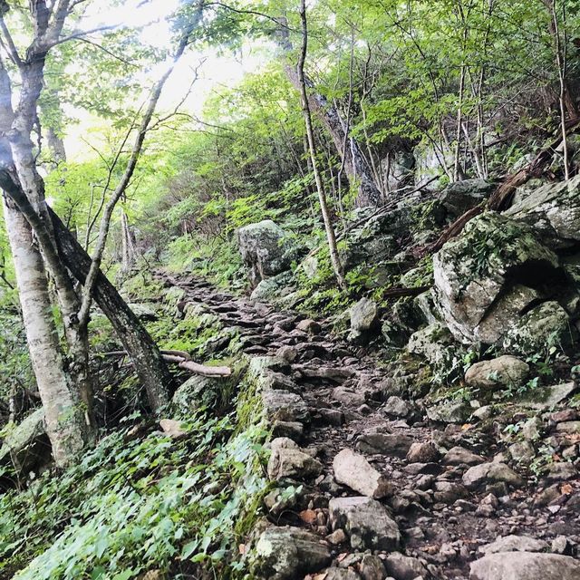 Hiking at Mary Rock Trial - Virginia 