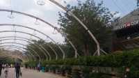 OCT Harbour: A Waterfront Wonderland in Shenzhen