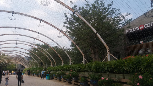 OCT Harbour: A Waterfront Wonderland in Shenzhen