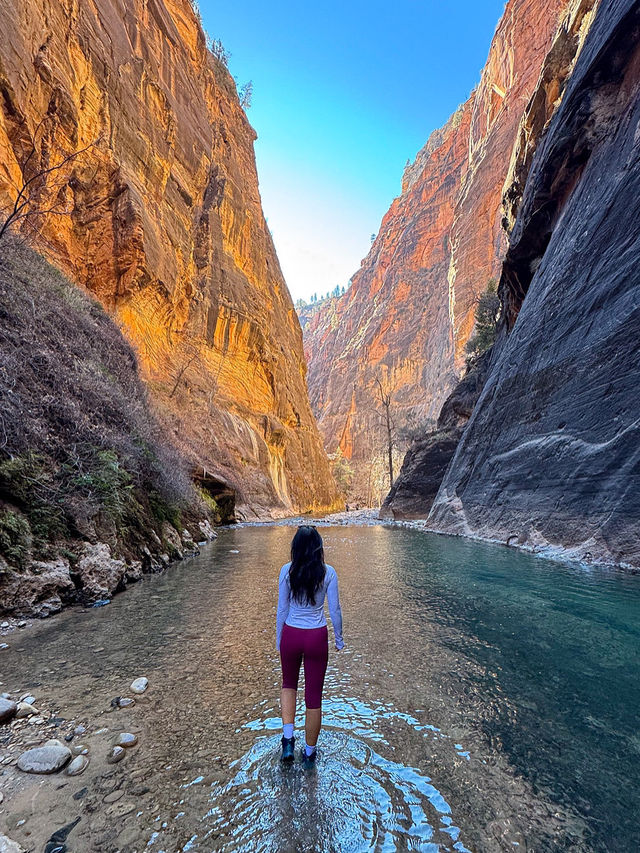 Zion Road Trip: 5 Unforgettable Moments