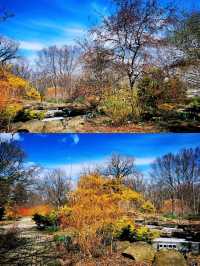 麥迪遜Olbrich Botanical Gardens (奧爾布里希植物園)