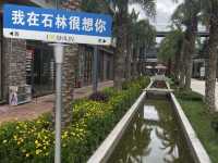 探訪地球的史詩雕刻師——麗江石林穿越之旅