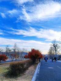 青島世博園
