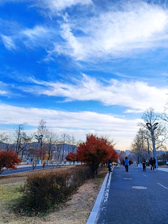 青島世博園