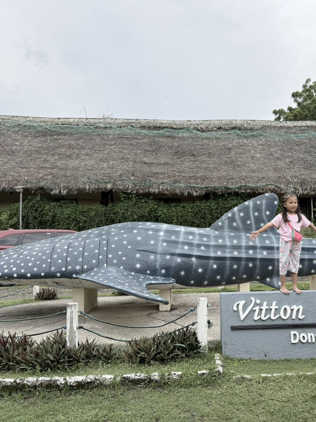 Discover Nature Magic at Naga🌳🌋💦 Discover Nature Magic at Naga🌳🌋💦