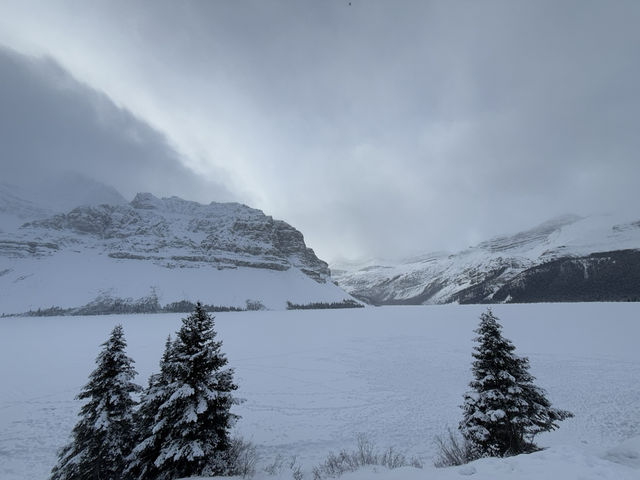 Bow Lake ทะเลสาบสุดอลังการ Bow Lake ทะเลสาบสุดอลังการ
