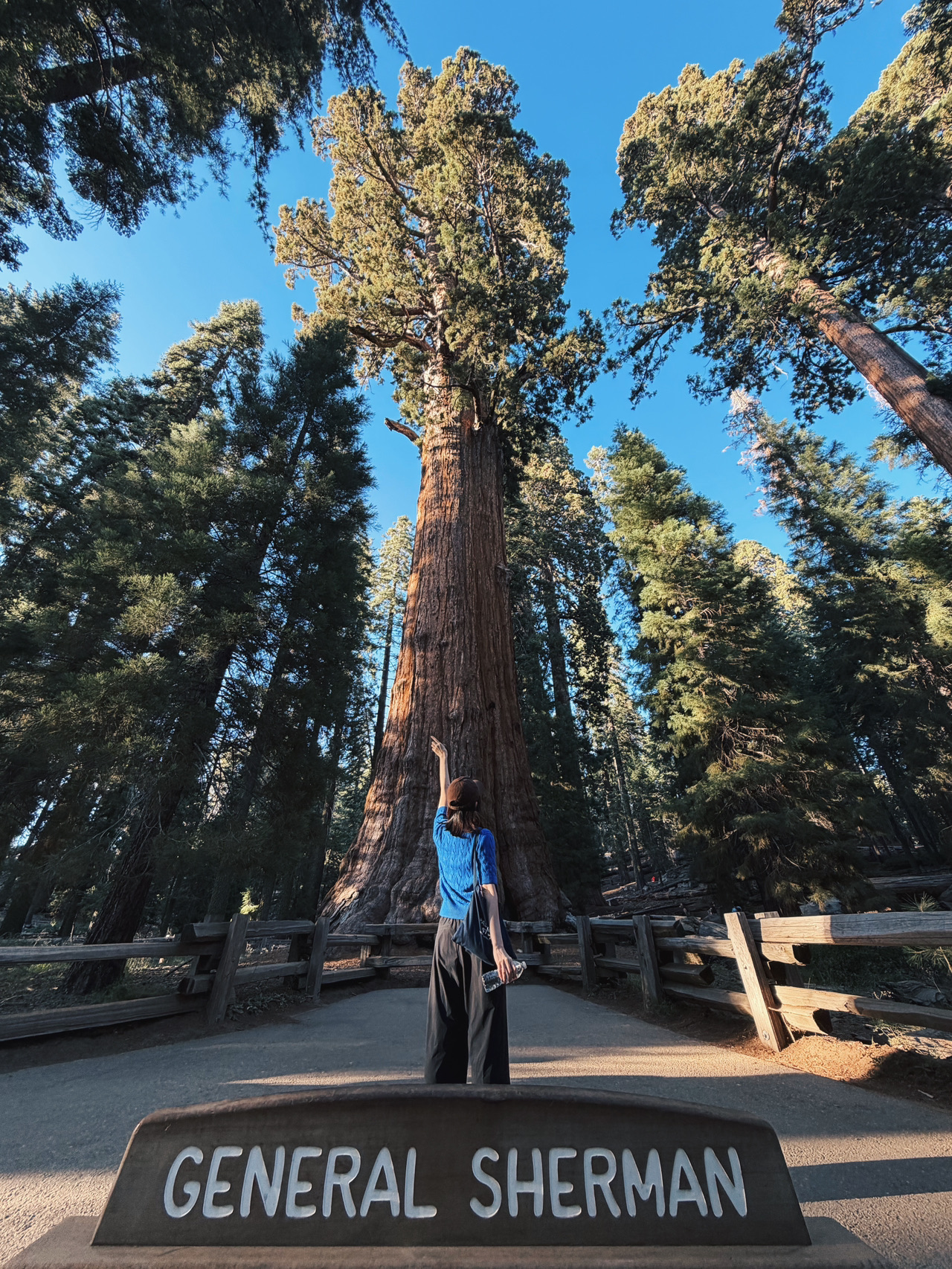 Walking Among Giants: General Sherman Tree Trail