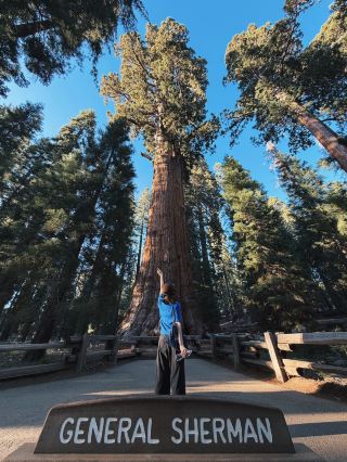 Walking Among Giants: General Sherman Tree Trail
