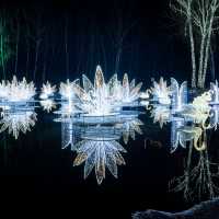 Winter magic - Million Lights Park in Zabrze