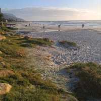 Surf Paradise Muizenberg