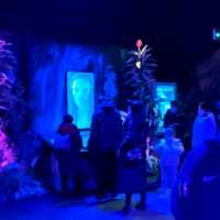 Magical day at Shanghai Disney Resort