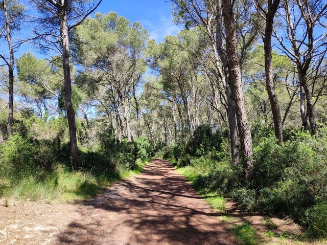 A Breathtaking Natural Haven in Menorca