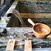 ♨️海景溫泉酒店♨️無邊際泳池看日出🌅