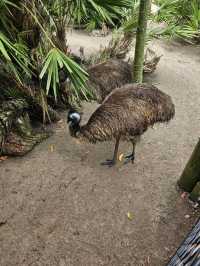 Brevard Zoo 🇺🇸