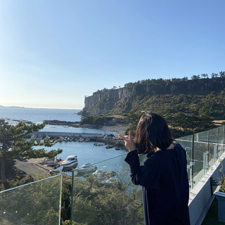 박수기정, 제주 최고의 모먼트❤️