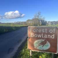 Longridge: the gateway to the forest of Bowland 