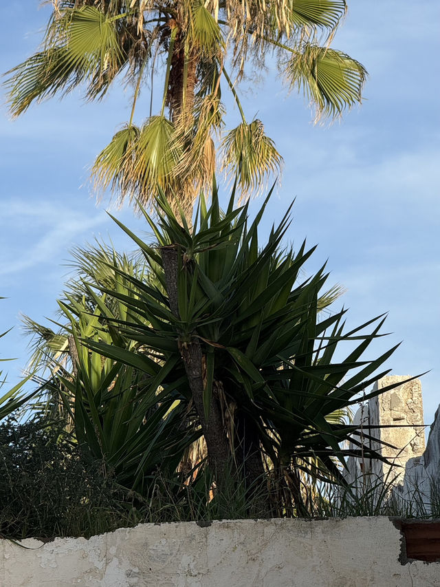 From Vilanova to Sitges: A Coastal Escape