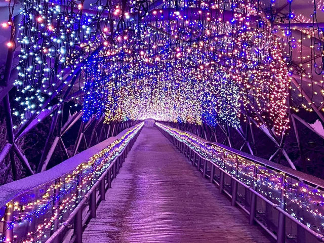 A beautiful illumination night at Totori flower park 