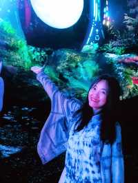 Mystical Wonderland Trip: Mycelia Forest Adventure in Lembang, Bandung - Indonesia
