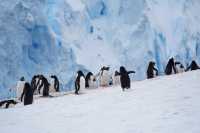 🇦🇶 Day 5-8: FINALLY REACHED ANTARCTICA