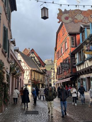 🇫🇷 里博維萊 Ribeauvillé 🎄