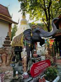 チェンマイに行くべき5つの理由🇹🇭✈️🌎