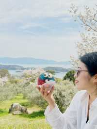 知らなかったら損！ 岡山へ行くべき5つの理由🇯🇵✈️🌏 
