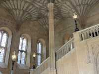 Christ Church College: The Crown Jewel of Oxford! 🏰