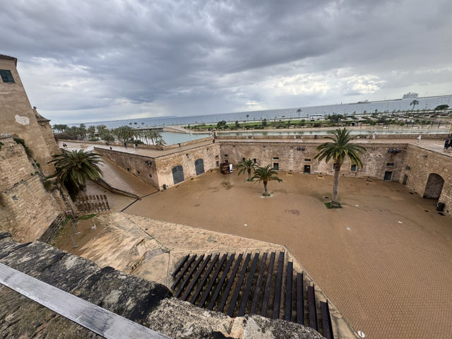 Palma 2k25 