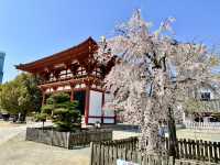 Osaka 3 Days Travel Guide 