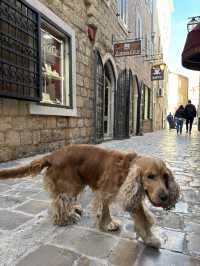 I felt in love with Budva!
