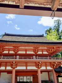 Springtime at Kasuga Taisha (Nara)