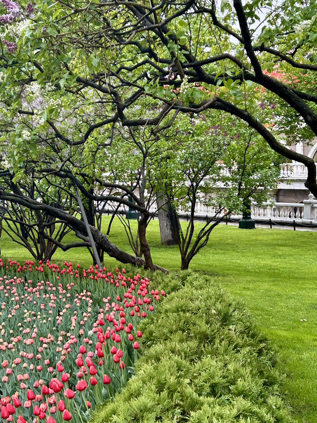Blooming next to the Kremlin