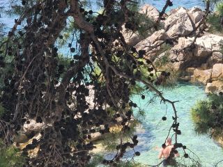 Cavtat the hidden gem💎