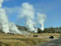 🚙 Transportation Tips for Yellowstone National Park 🏞️🧭