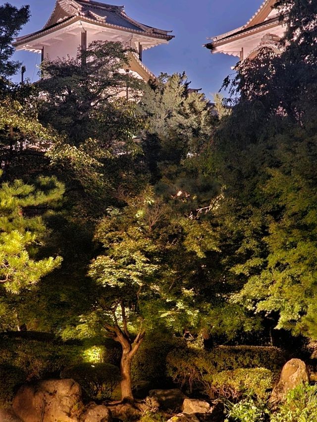 🏔️ Takayama, Shirakawa-go or Kanazawa? Which Japanese Alps Gem Should You Visit?