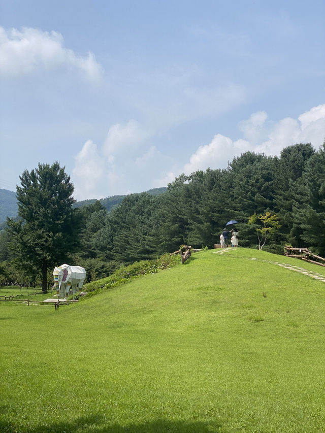 ☀️ Summer days on Nami Island 🏞️
