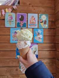 Skyr, Soup & Shark: Exploring Icelandic Cuisine