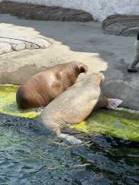Best Europe Zoo in Belgium