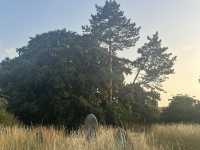 Hidden gems in Cambridge