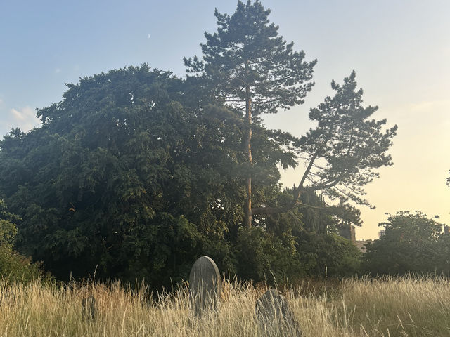 Hidden gems in Cambridge