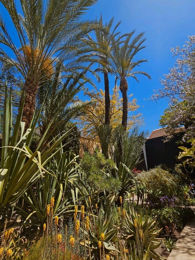 🌿 Le Jardin Secret – A Hidden Oasis in the Heart of Marrakech