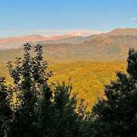 🇰🇿🍎 “Almaty on $100: 2 Days of Beauty, Bazaars & Big Mountains”